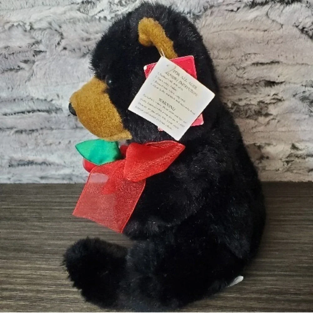 E&J Classics WITH LOVE Black Teddy Bear Holding‎ Sheer Roses Romantic Plush